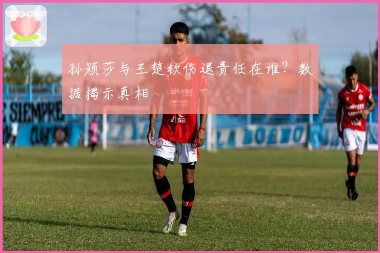 孙颖莎与王楚钦伤退责任在谁？数据揭示真相